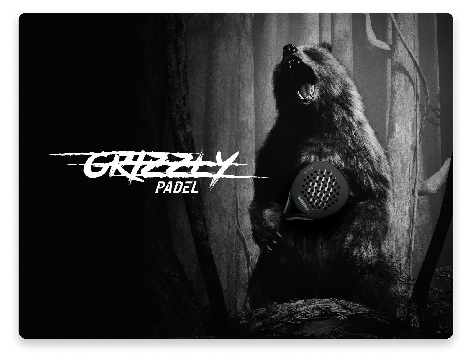 Grizzly Padels logotyp i penseldrag bredvid en vrålande grizzlybjörn som håller ett padelrack, i svartvitt